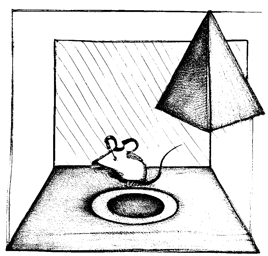 /choisir l etude la plus appropriee.webp